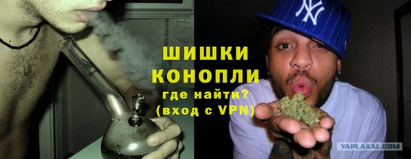 PSILOCYBIN Ельня