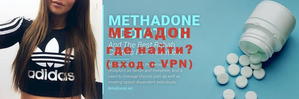PSILOCYBIN Ельня