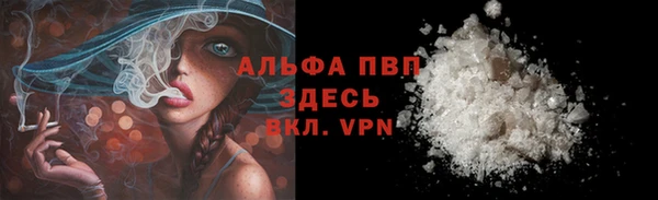 PSILOCYBIN Ельня
