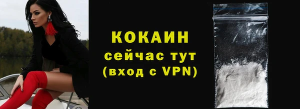 PSILOCYBIN Ельня