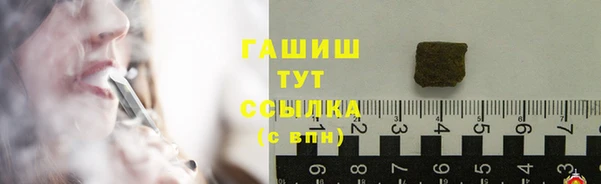 PSILOCYBIN Ельня