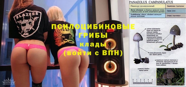 PSILOCYBIN Ельня