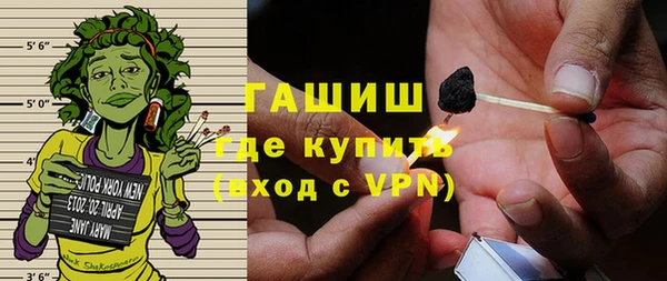 PSILOCYBIN Ельня
